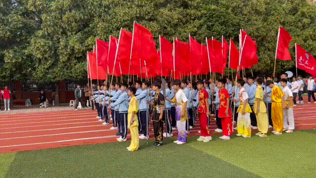 6.gif